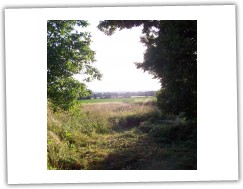 6/2008