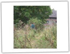 6/2008