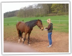 Seren 2roky