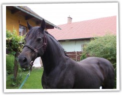 Lasgrug New Image - matka