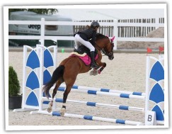 MČR pony 2017