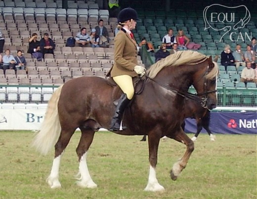 Yswan Oberon