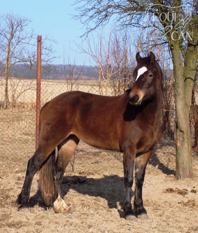 Age 3 roky