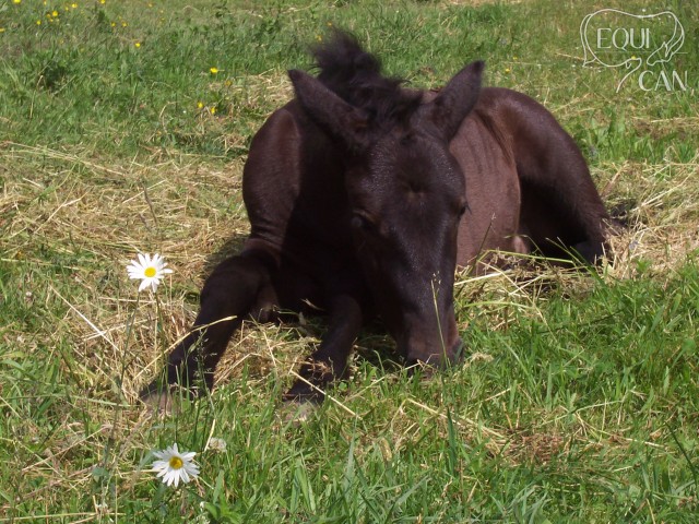 Měsíc