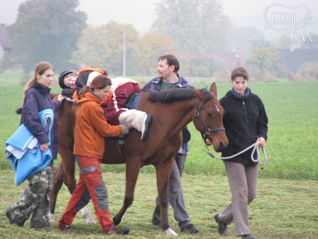 Hiporehabilitace