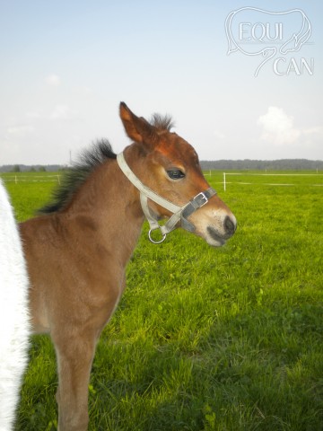 Necelý týden stará