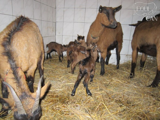 Děti 2012