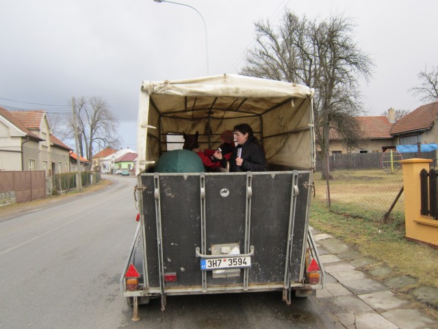 Tak ti aspoň zapleteme hřívu..
