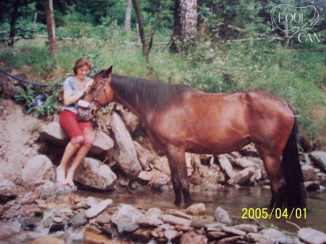 Halsina