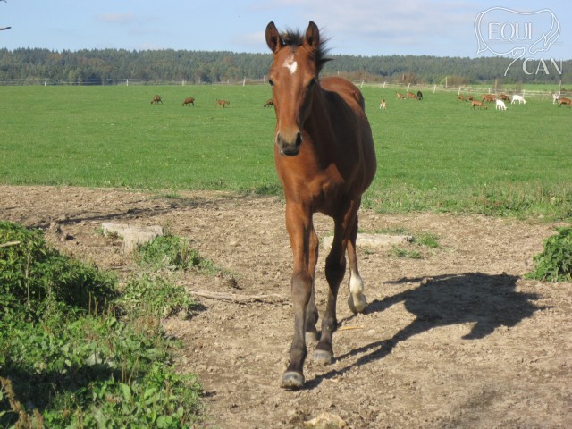 Říjen 2012