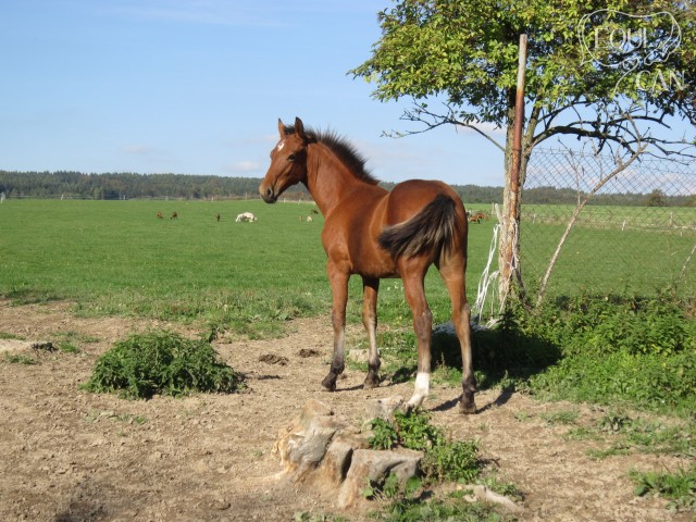 Říjen 2012
