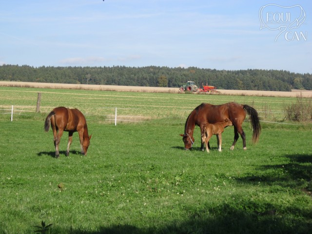 Říjen 2012