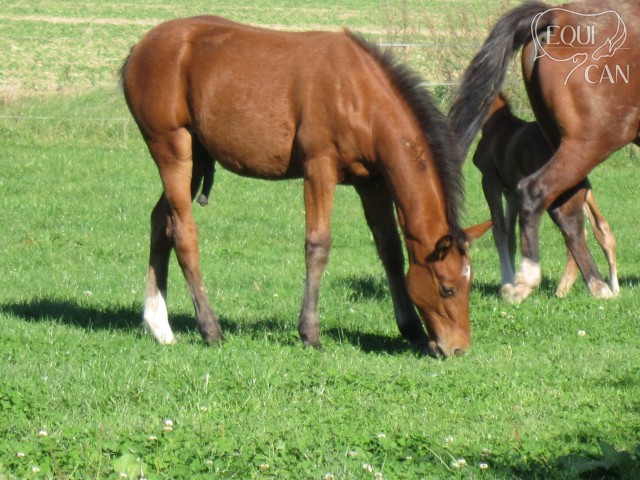 Říjen 2012