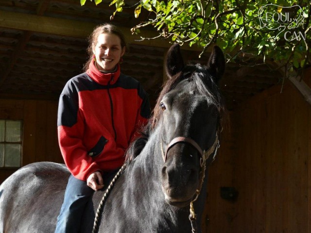 Mergen 2012