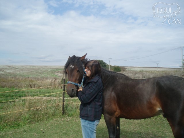 Marek 2012