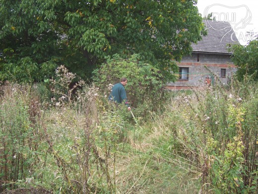 6/2008