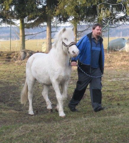 Baša dovoz