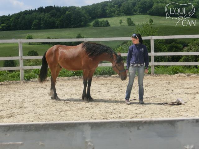 2014 - 2letý