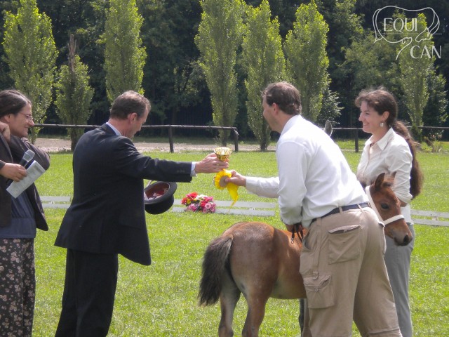 šampionát 2010