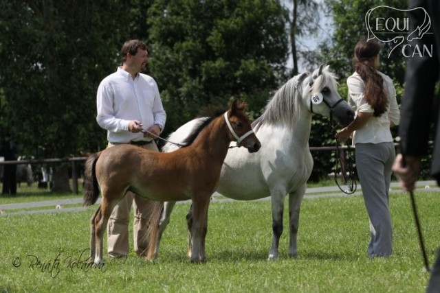 šampionát 2010