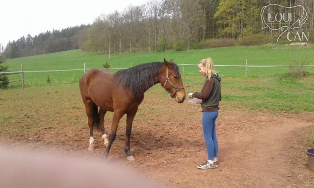 Seren 2roky