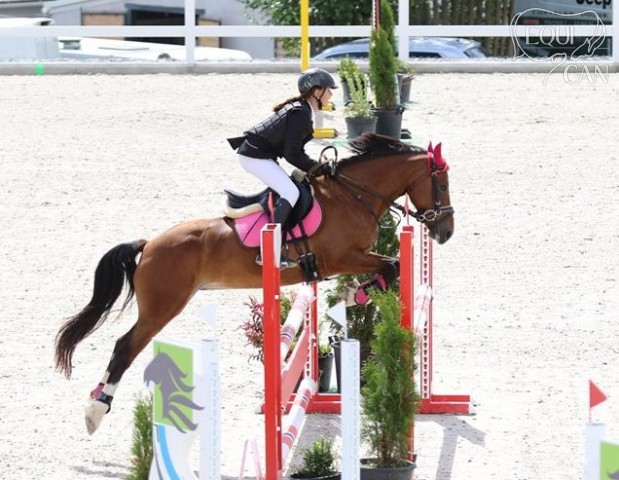 MČR pony 2017