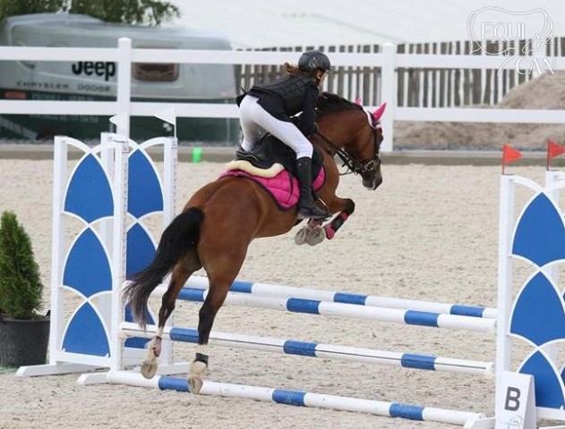 MČR pony 2017