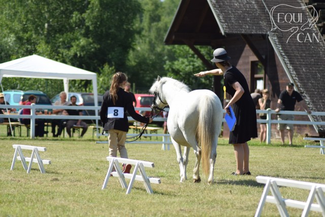 šampionát 2018