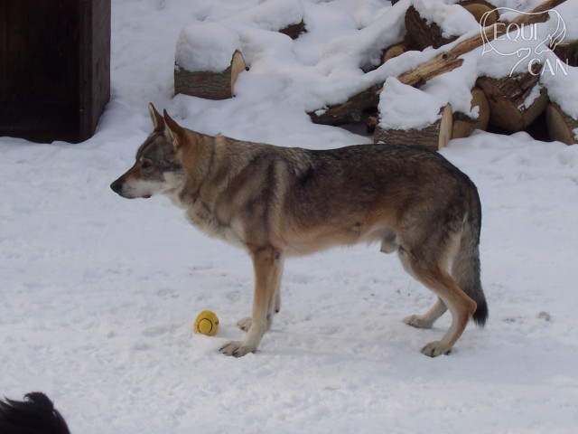 rok 2005
