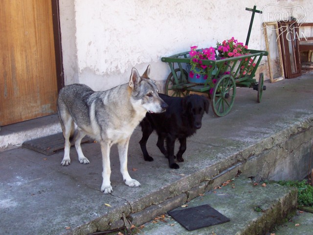 rok 2005, s prvním flatíkem