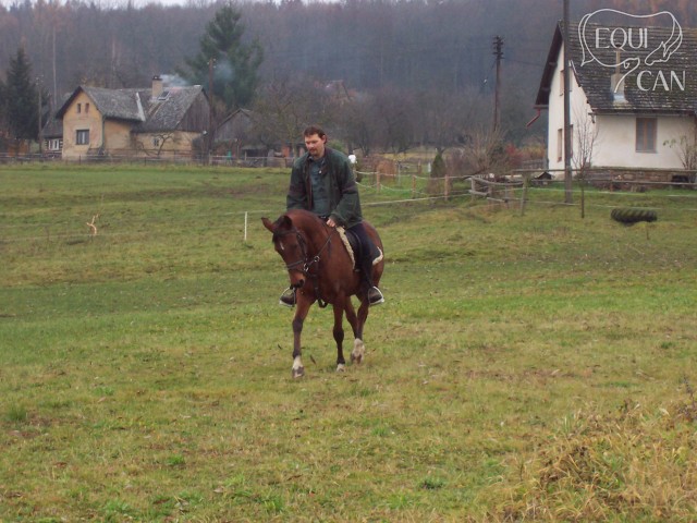 Pani 2006 pod sedlem